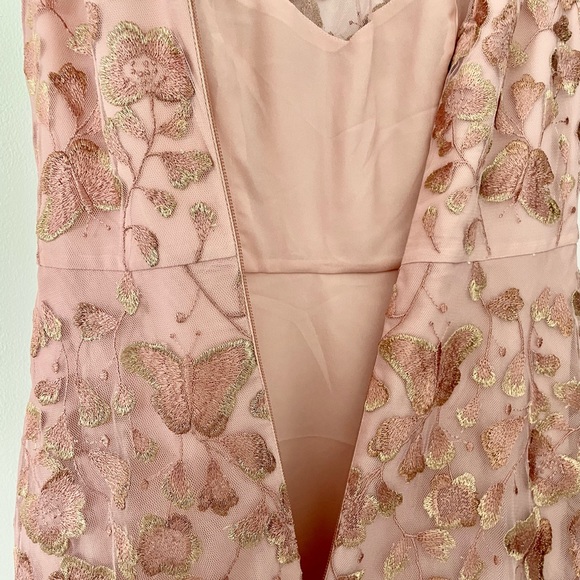 Tea Length Pale Pink crinoline dress, embroidery lace iridescent Butterflies 🦋 - Picture 7 of 8